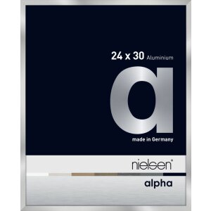 Cornice Nielsen in alluminio Alpha TCSC 24x30 cm argento