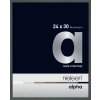 Cornice Nielsen in alluminio Alpha TCSC 24x30 cm platino