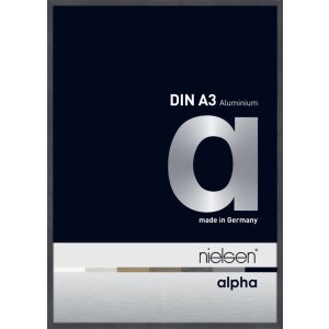 Cornice Nielsen in alluminio Alpha TCSC 30x42 cm grigio