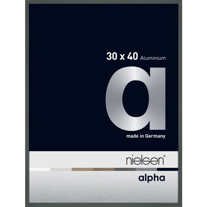 Cornice Nielsen in alluminio Alpha TCSC 30x40 cm platino