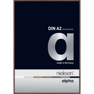 Cornice Nielsen in alluminio Alpha TCSC 42x60 cm...