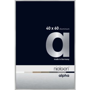 Cornice Nielsen in alluminio Alpha TCSC 40x60 cm argento...