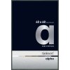 Cornice Nielsen in alluminio Alpha TCSC 40x60 cm platino