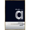 Cornice Nielsen in alluminio Alpha TCSC 40x60 cm ambra spazzolata