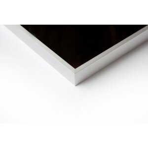 Cornice Nielsen in alluminio Alpha TCSC 50x60 cm argento opaco