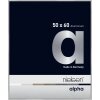 Cornice Nielsen in alluminio Alpha TCSC 50x60 cm argento opaco