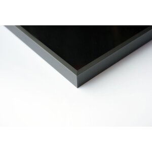 Cornice Nielsen in alluminio Alpha TCSC 50x60 cm platino