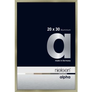 Cornice Nielsen in alluminio Alpha TCSC 20x30 cm acciaio...