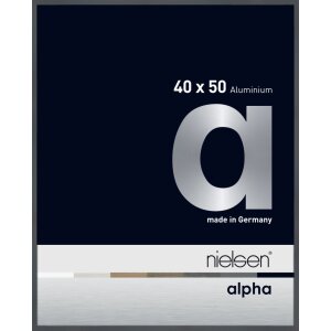 Cornice Nielsen in alluminio Alpha TCSC 40x50 cm grigio...