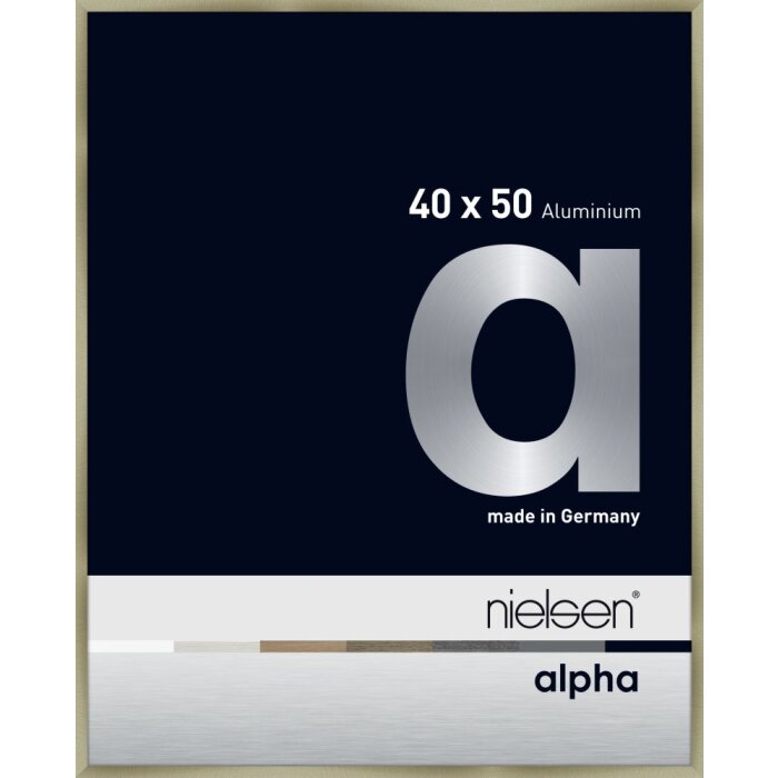 Cornice Nielsen in alluminio Alpha TCSC 40x50 cm in acciaio inox spazzolato