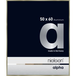 Cornice Nielsen in alluminio Alpha TCSC 50x60 cm acciaio...