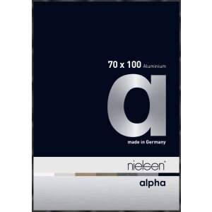 Cornice Nielsen in alluminio Alpha TCSC 70x100 cm...