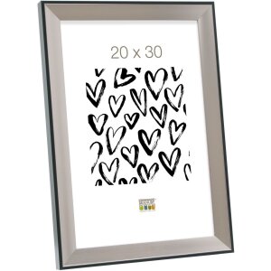 Cornice in plastica S45FD2 argento 18x24 cm vetro...