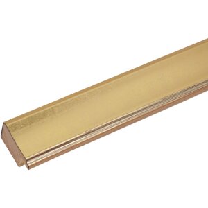 Cornice di legno Deknudt S45YA1 oro 24x30 cm Vetro antiriflesso