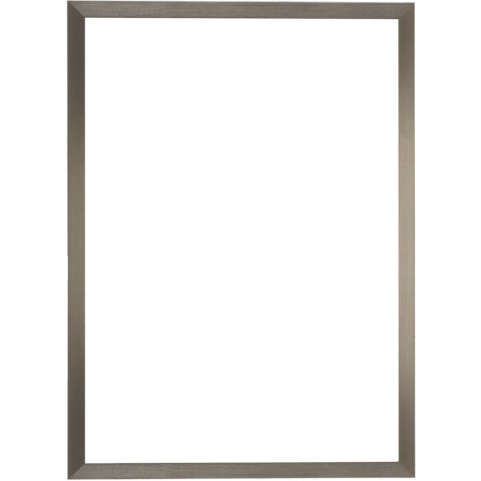 Cornice su tela S46V argento 40x50 cm