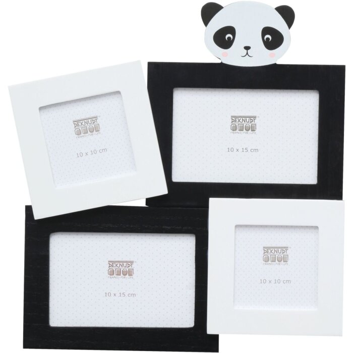 Galleria fotografica Panda 4 foto 10x10 cm e 10x15 cm