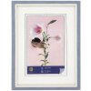 Cornice WPC Lily 15x20 cm blu