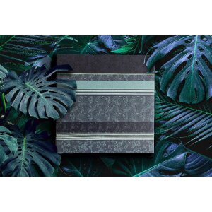 Walther Stock Album Pheline 40 a 200 foto 10x15 cm e 13x18 cm