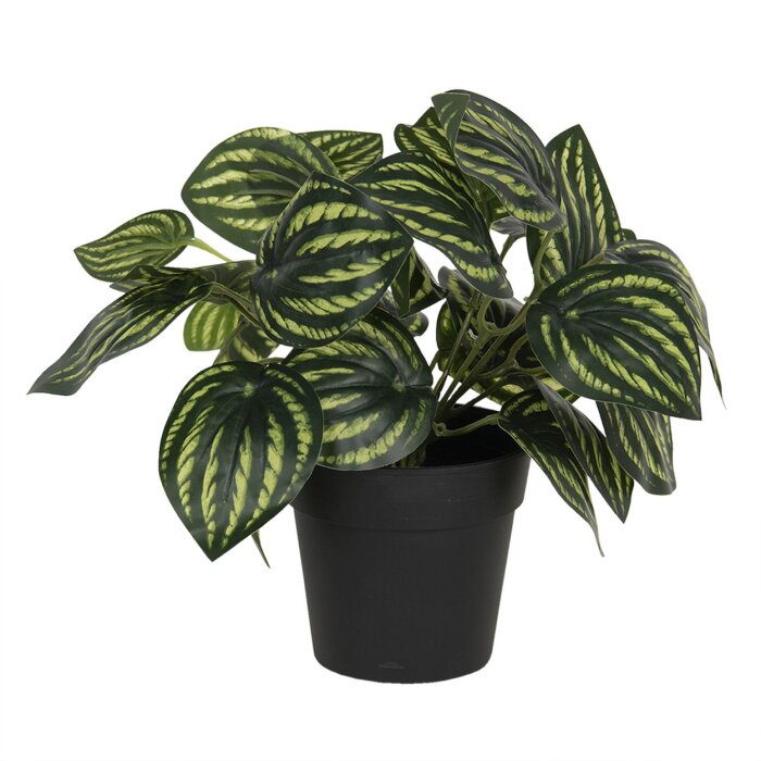 Decorazione pianta artificiale 24x24x25 cm verde 6PL0217