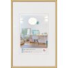 Cornice di plastica New Lifestyle 61x91,5 cm oro
