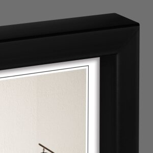 Cornice Newton in bianco e nero