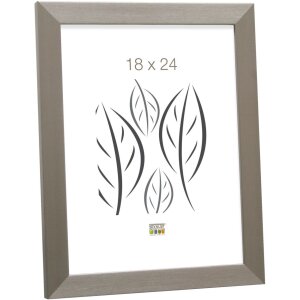 Cornice in plastica S41VD1 argento 18x24 cm vetro...