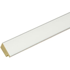 Cornice in plastica Deknudt S41VK bianco 40x50 cm vetro premium