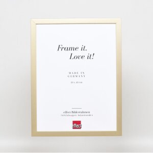 Struttura in legno Top Cube 50x75 cm vetro museale oro