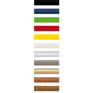 Walther Cornice in plastica NEW LIFESTYLE 18x24 cm oro