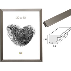 Cornice in plastica S41VD1 argento Vetro antiriflesso