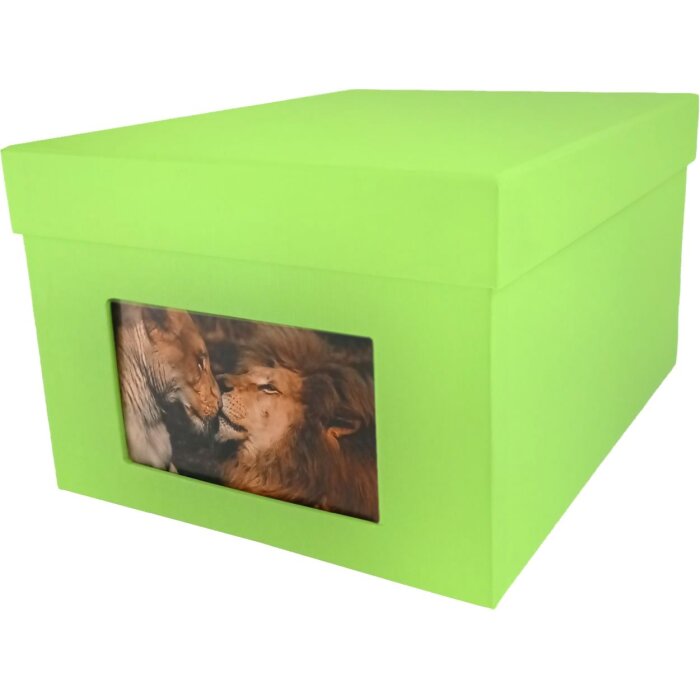 HNFD XL Photo Box Kandra 700 foto 13x18 cm mela