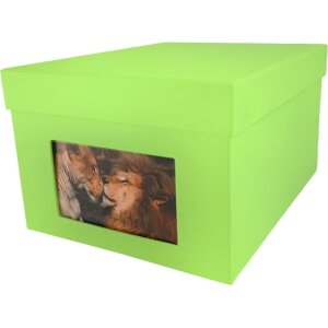HNFD XL Photo Box Kandra 700 foto 13x18 cm mela