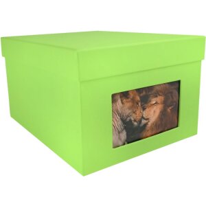 HNFD XL Photo Box Kandra 700 foto 13x18 cm mela