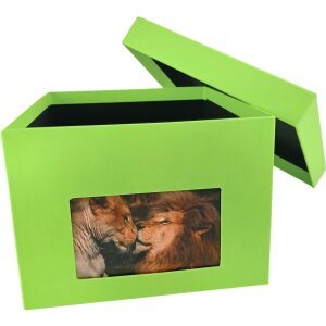 HNFD XL Photo Box Kandra 700 foto 13x18 cm mela