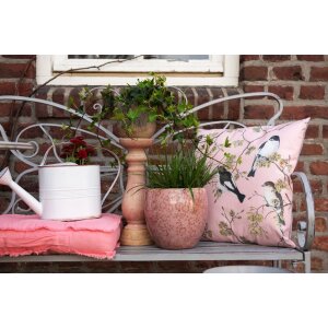 Vaso da fiori rosa Ø 18x17 cm 6CE1250M
