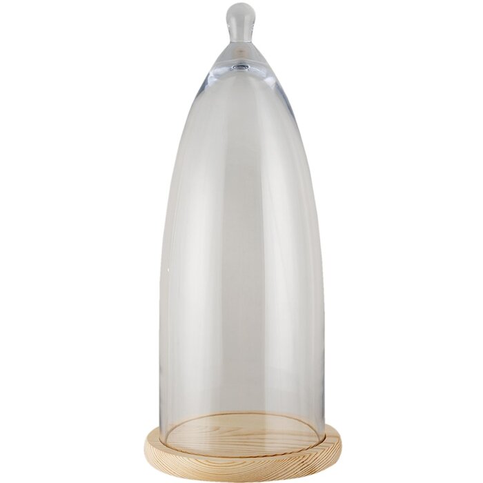 Vaso a campana in vetro trasparente Ø 24x56 cm 6GL3005