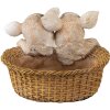 Decorazione Maiali multicolore 11x11x16 cm 6PR3337