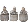 Decorazione uccello LED grigio 7x6x10 cm 6PR3468