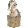 Decorazione Gatto multicolore 5x4x10 cm 6PR4643