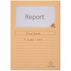 Cartelle a finestra Exacompta 160g DIN A4 colorate 100pz 22x31cm Eco-Friendly