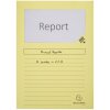 Cartelle a finestra Exacompta 160g DIN A4 colorate 100pz 22x31cm Eco-Friendly