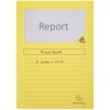 Cartelle a finestra Exacompta 160g DIN A4 colorate 100pz 22x31cm Eco-Friendly