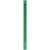 Raccoglitore ad anelli Exacompta PP 500µ 4 anelli dorso 20 mm opaco DIN A4 verde chiaro