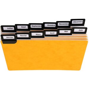 Exacompta 13752E 24 divisori a finestra con linguette in metallo 105x148 mm alfabetici