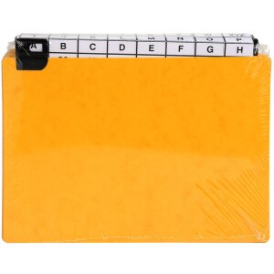 Exacompta 13758E 24 divisori con linguette a finestra 148x210 mm