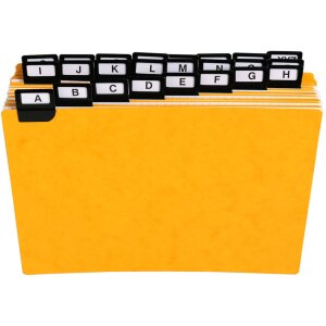 Exacompta 13758E 24 divisori con linguette a finestra 148x210 mm