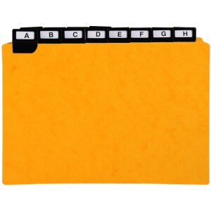 Exacompta 13758E 24 divisori con linguette a finestra 148x210 mm