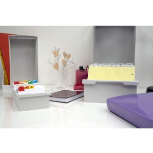 Exacompta 52340D Scatola schedario DIN A5 grigio chiaro