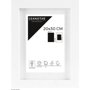 Cornice Ceanothe Oslo con Passepartout 20x30 cm bianco