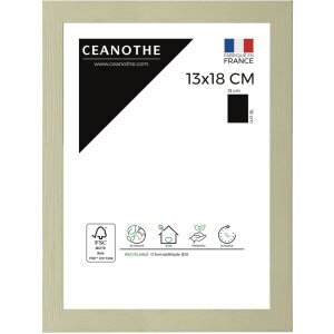 Cornice Ceanothe Karma 13x18 cm verde lime